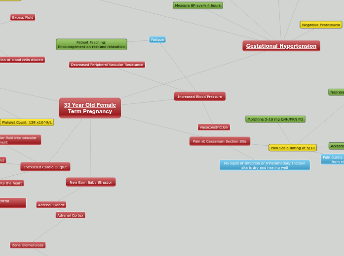 Winter 2015 Pathophys Concept Map Winter 2015 Pathophys Concept Map