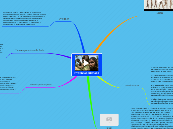 Evolución humana - Mapa Mental