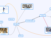 Turbomáquinas - Mapa Mental
