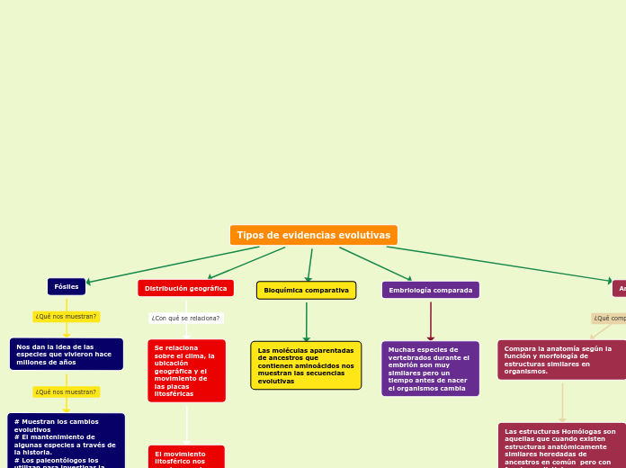 Tipos de evidencias evolutivas