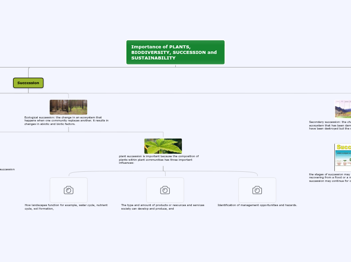 Organigram Organigram