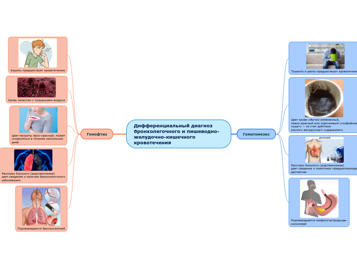 Дифференциальный диагноз бронхол...- Мыслительная карта