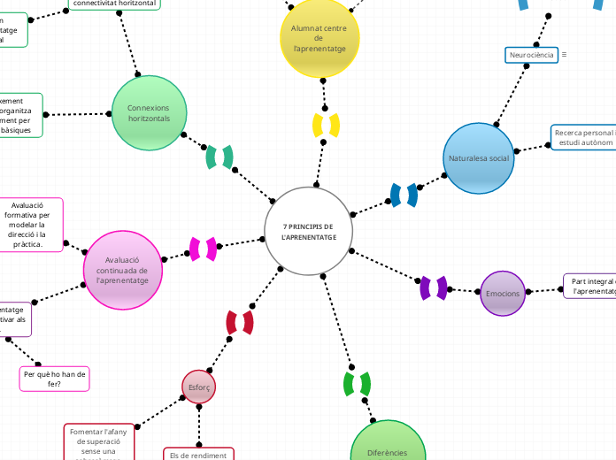 7 PRINCIPIS DE L'APRENENTATGE