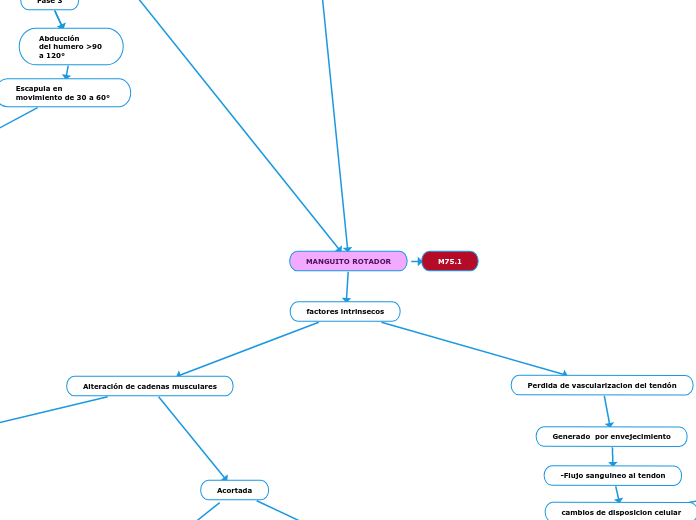 MANGUITO ROTADOR - Mapa Mental