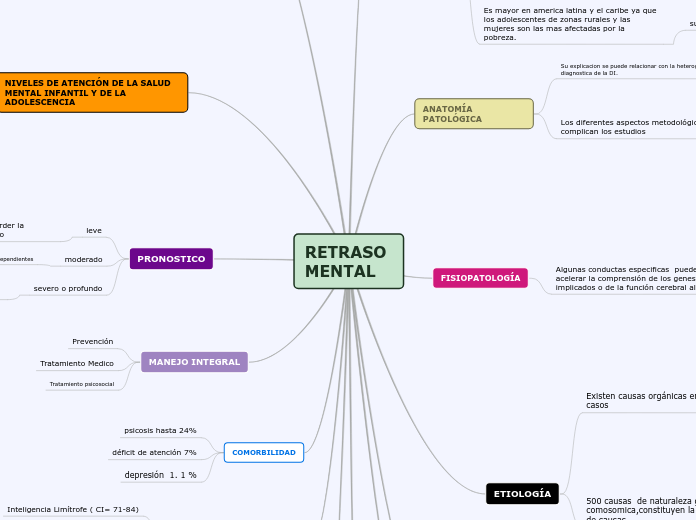 RETRASO MENTAL - Mapa Mental