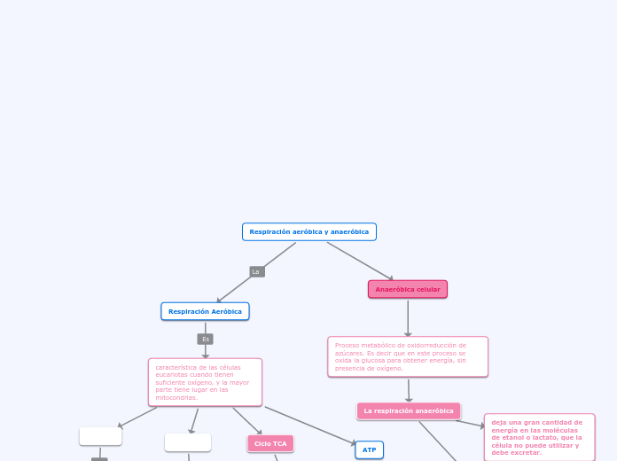 Respiración aeróbica y anaeróbica - Mapa Mental