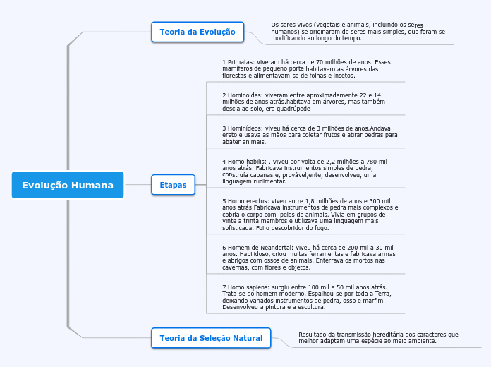 Evolução Humana - Mapa Mental