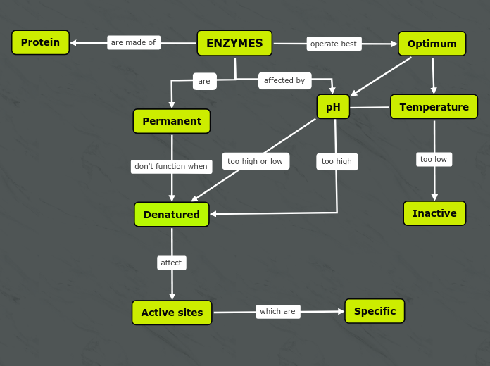 ENZYMES - Mind Map