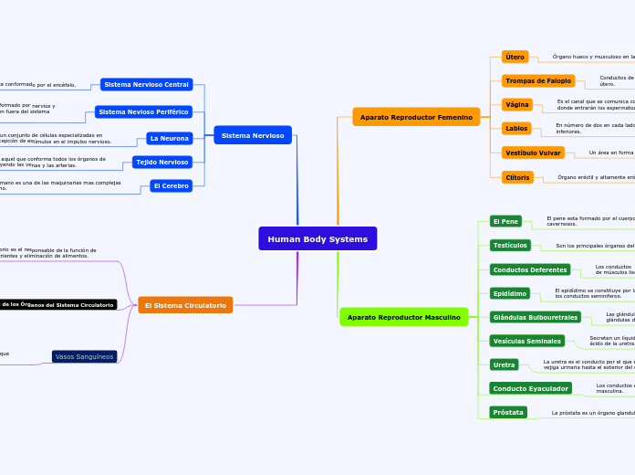 Human Body Systems