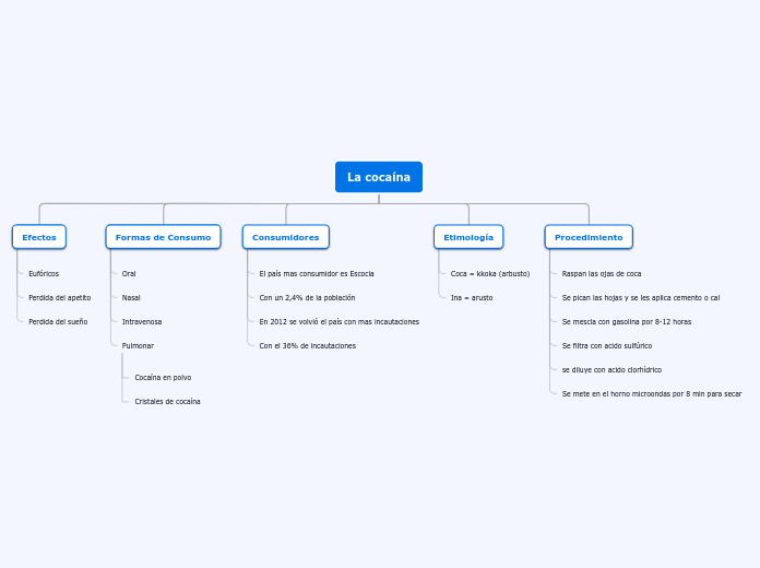 Organigrama arbol