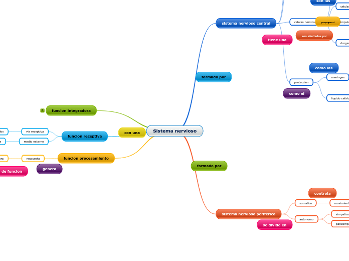 Sistema Nervioso - Mind Map