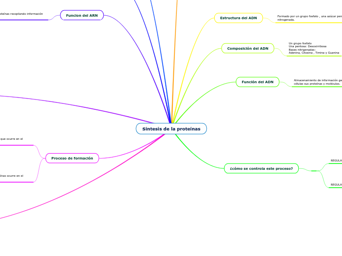 Síntesis de la proteínas - Mind Map