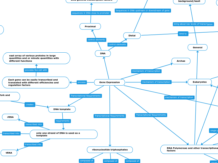 Gene Expression - Mind Map