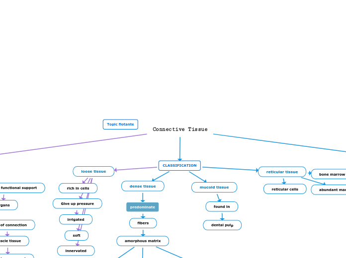 Connective Tissue - Mind Map