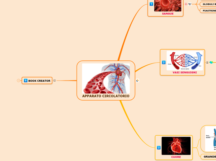 APPARATO CIRCOLATORIO - Mappa Mentale