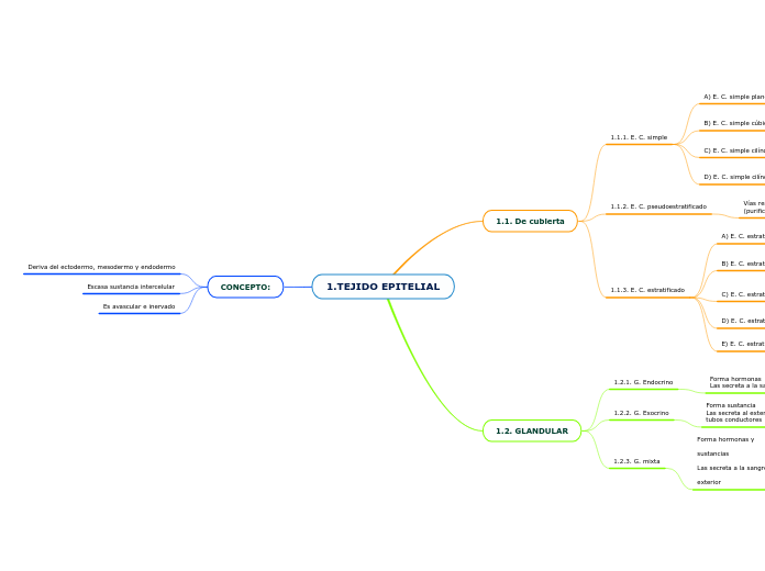 1.TEJIDO EPITELIAL - Mapa Mental