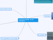 Conceptualización de los Principios - Mapa Mental