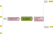 LOS BOSQUES 
AMAZÓNICOS - Mapa Mental
