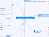 Prokaryotes (Jeanette Castano) - Mind Map