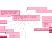 CARACTERÍSTICAS DE JOSE WATANABE - Mapa Mental