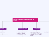 EL CICLO CELULAR DEL SINDROME DE DOWN