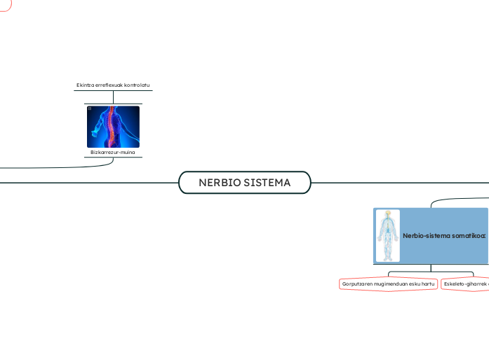 NERBIO SISTEMA - Mind Map