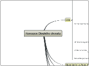 Koncepce Dlouhého chvostu - Mind Map