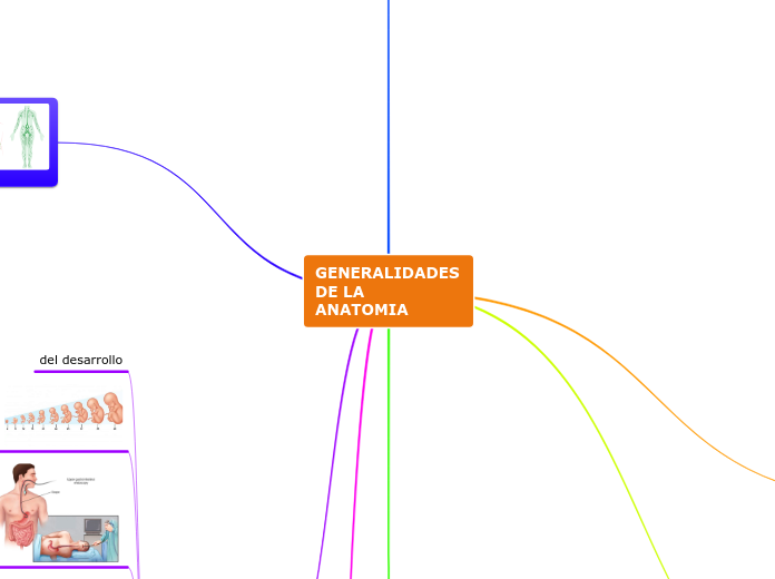 GENERALIDADES   DE LA ANATOMIA - Mapa Mental