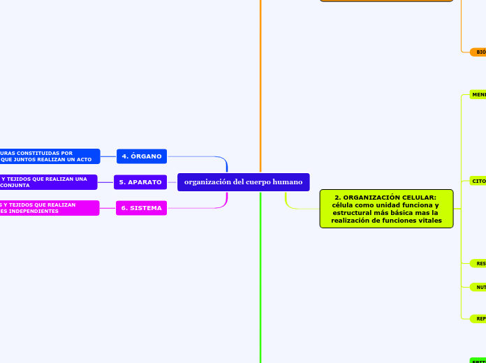 organización del cuerpo humano