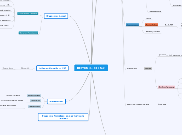 HECTOR M. (30 años) - Mapa Mental