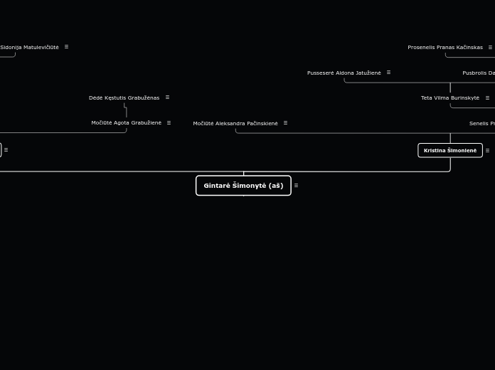 Gintarė Šimonytė (aš) - Mind Map