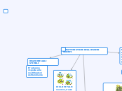 CARATTERISTICHE DEGLI ESSERI VIVENTI - Mappa Mentale