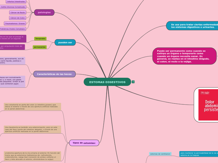 ESTOMAS DIGESTIVOS - Mapa Mental