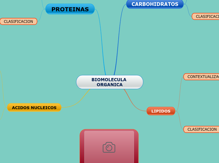 BIOMOLECULA ORGANICA - Mapa Mental