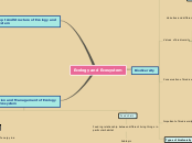 Ecology and Ecosystem - Mind Map