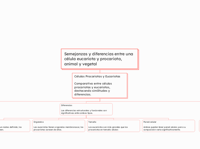 Semejanzas y diferencias entre una célula eucariota y procariota, animal y vegetal