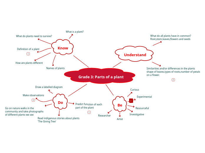 Grade 3: Parts of a plant