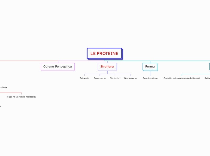 LE PROTEINE - Mappa Mentale