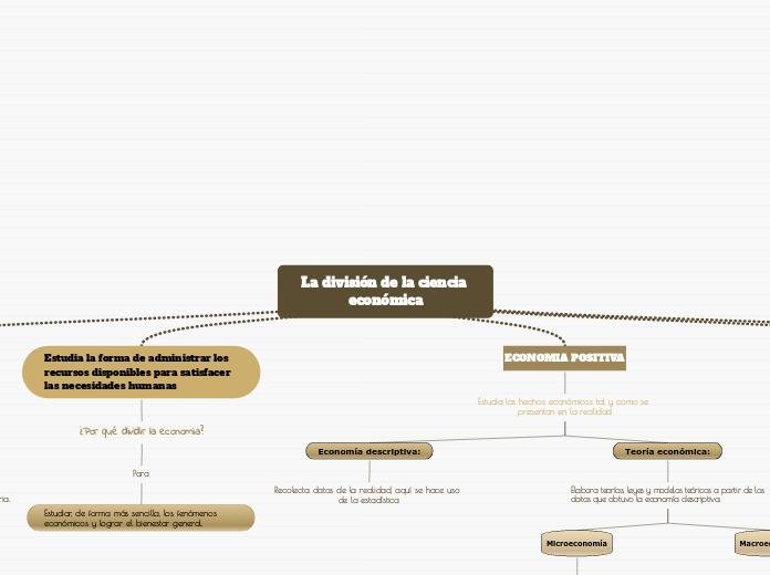 La división de la ciencia económica - Mapa Mental