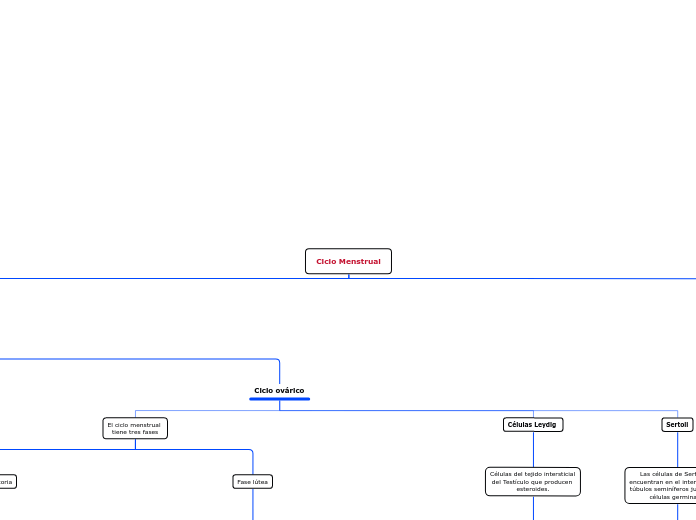 Ciclo Menstrual
 - Mapa Mental