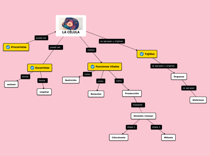 La C Lula Mind Map