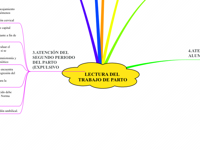 LECTURA DEL TRABAJO DE PARTO