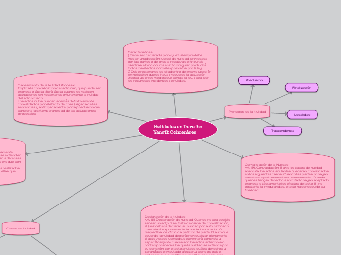 Nulidades en Derecho
Yaneth Colmenáres - Mapa Mental