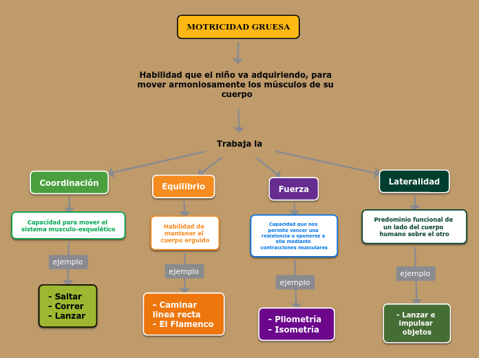 MOTRICIDAD GRUESA