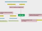 NTiC UNI - Mapa Mental