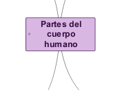 Partes del cuerpo humano - Mapa Mental