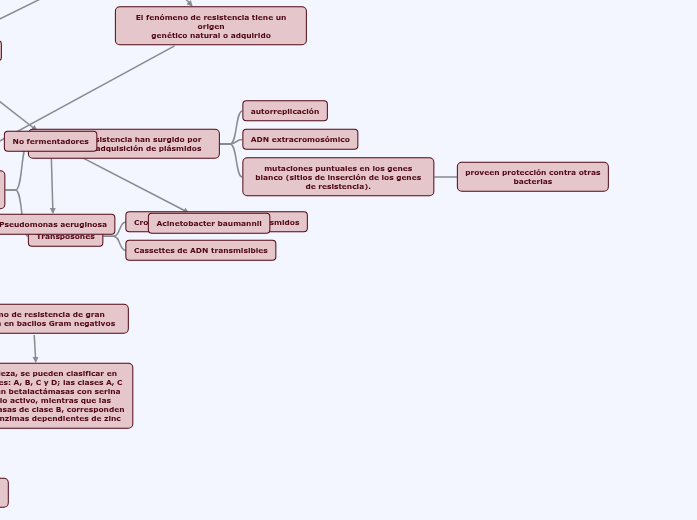 GENES DE RESISTENCIA EN BACILOS GRAM NEGATIVOS GENES DE RESISTENCIA EN BACILOS GRAM NEGATIVOS