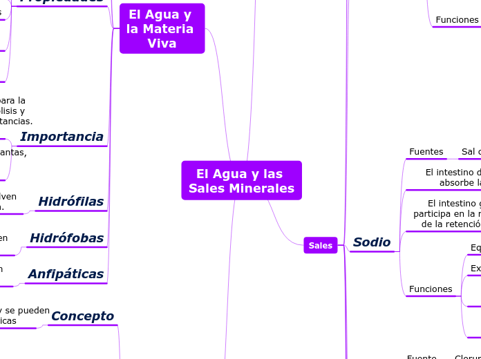 El Agua y las Sales Minerales - Mapa Mental