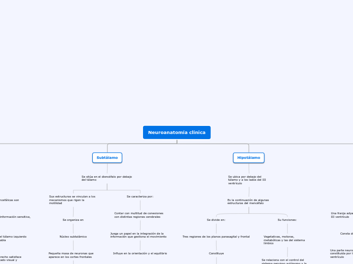 Neuroanatomía clínica - Mapa Mental