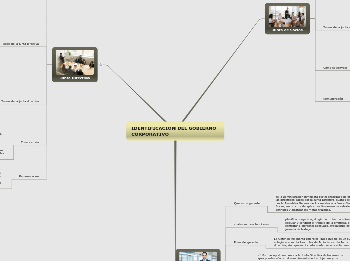 IDENTIFICACION DEL GOBIERNO CORPORATIVO